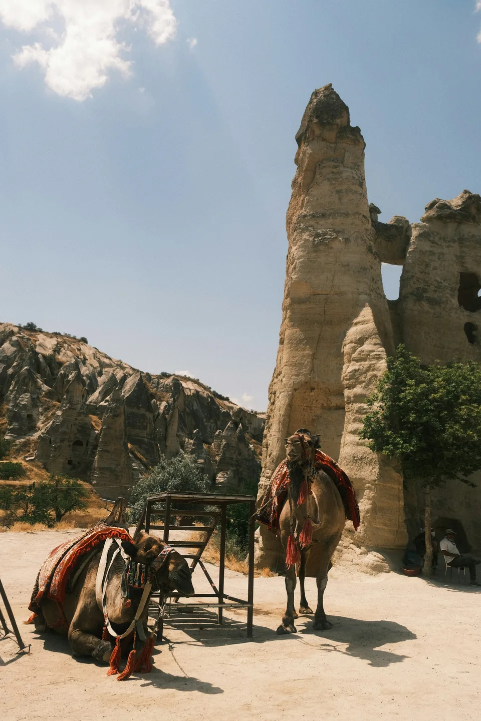 Peribacası önünde dinlenen develer