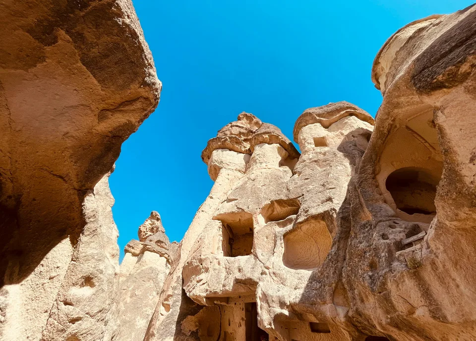 Capped fairy chimneys at Paşabağ